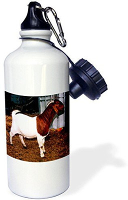 

3dRose 621 ml Water Purifier Bottle(White)