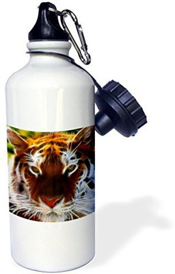 

3dRose 621 ml Water Purifier Bottle(White)