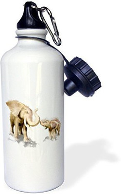 

3dRose 621 ml Water Purifier Bottle(White)
