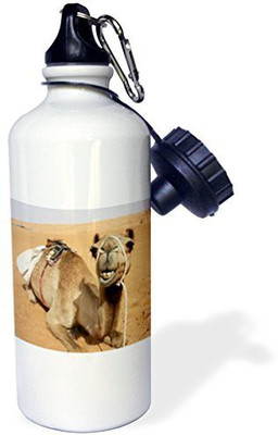 

3dRose 621 ml Water Purifier Bottle(White)