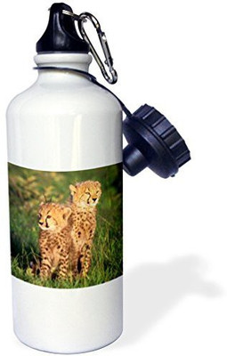 

3dRose 621 ml Water Purifier Bottle(White)