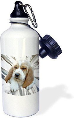 

3dRose 621 ml Water Purifier Bottle(White)