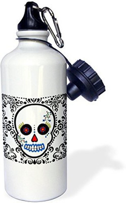 

3dRose 621 ml Water Purifier Bottle(White)