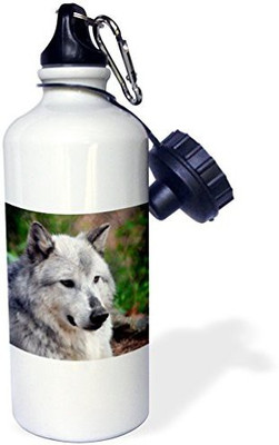 

3dRose 621 ml Water Purifier Bottle(White)