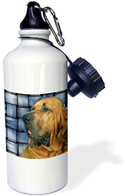 

3dRose 621 ml Water Purifier Bottle(White)