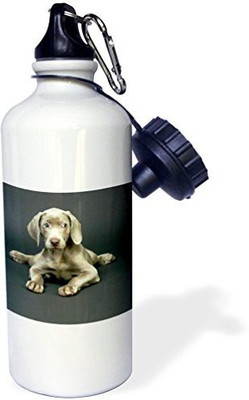 

3dRose 621 ml Water Purifier Bottle(White)