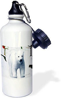 

3dRose 621 ml Water Purifier Bottle(White)