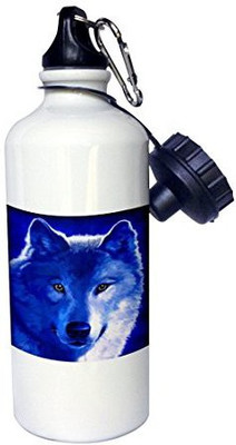 

3dRose 621 ml Water Purifier Bottle(White)