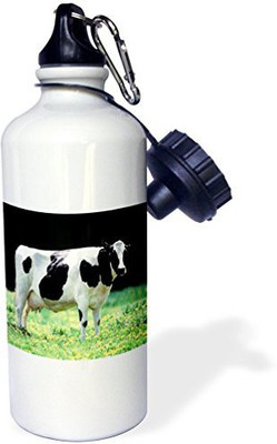 

3dRose 621 ml Water Purifier Bottle(White)
