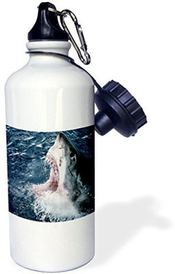 

3dRose 621 ml Water Purifier Bottle(White)