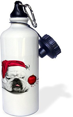

3dRose 621 ml Water Purifier Bottle(White)