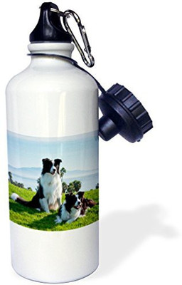 

3dRose 621 ml Water Purifier Bottle(White)
