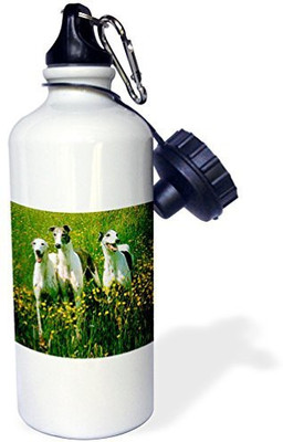 

3dRose 621 ml Water Purifier Bottle(White)