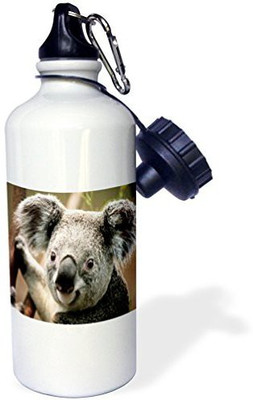 

3dRose 621 ml Water Purifier Bottle(White)
