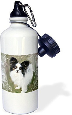 

3dRose 621 ml Water Purifier Bottle(White)