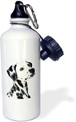 

3dRose 621 ml Water Purifier Bottle(White)