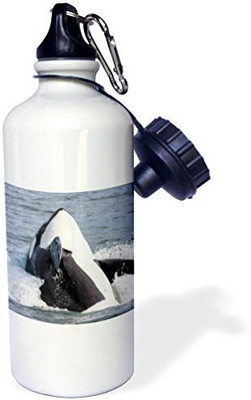 

3dRose 621 ml Water Purifier Bottle(White)