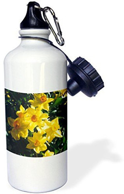 

3dRose 621 ml Water Purifier Bottle(White)