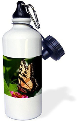 

3dRose 621 ml Water Purifier Bottle(White)