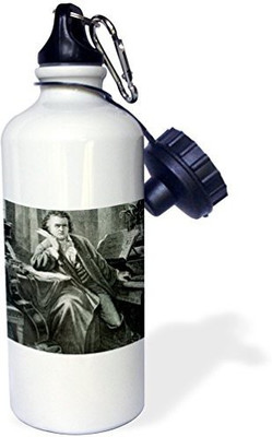 

3dRose 621 ml Water Purifier Bottle(White)