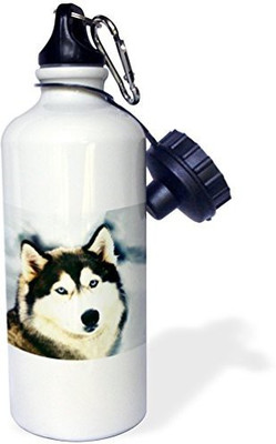 

3dRose 621 ml Water Purifier Bottle(White)