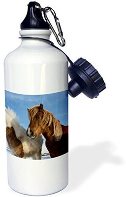 3dRose 621 ml Water Purifier Bottle(White)