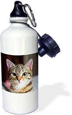 

3dRose 621 ml Water Purifier Bottle(White)