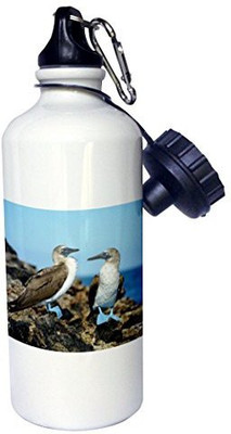 

3dRose 621 ml Water Purifier Bottle(White)
