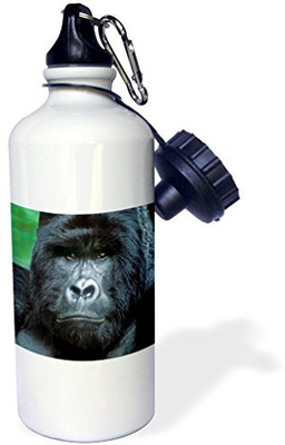 

3dRose 621 ml Water Purifier Bottle(White)