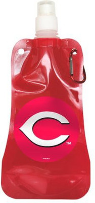 

Boelter 473 ml Water Purifier Bottle(Red)