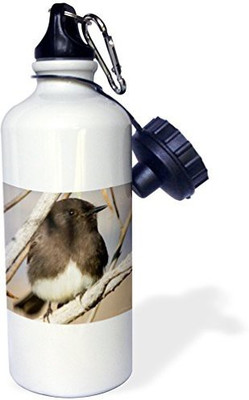 

3dRose 621 ml Water Purifier Bottle(White)