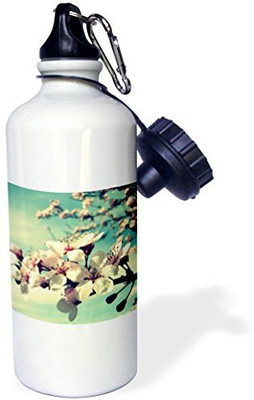 

3dRose 621 ml Water Purifier Bottle(White)