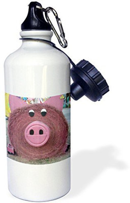

3dRose 621 ml Water Purifier Bottle(White)