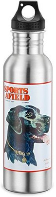

Big Sky Carvers 739 ml Water Purifier Bottle(Silver)