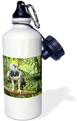 

3dRose 621 ml Water Purifier Bottle(White)