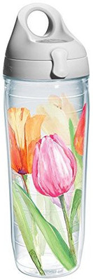 

Tervis 710 ml Water Purifier Bottle(Multicolor)