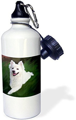 

3dRose 621 ml Water Purifier Bottle(White)