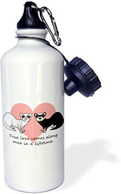 

3dRose 621 ml Water Purifier Bottle(White)