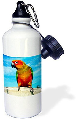 

3dRose 621 ml Water Purifier Bottle(White)