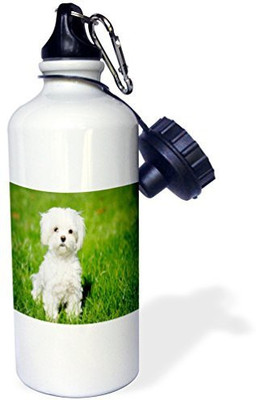 

3dRose 621 ml Water Purifier Bottle(White)