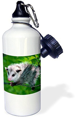 

3dRose 621 ml Water Purifier Bottle(White)