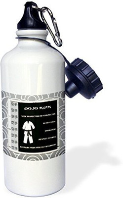 

3dRose 621 ml Water Purifier Bottle(White)