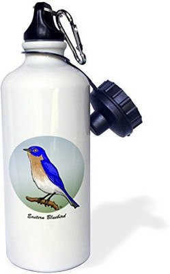 

3dRose 621 ml Water Purifier Bottle(White)