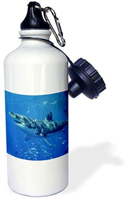 

3dRose 621 ml Water Purifier Bottle(White)