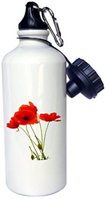 

3dRose 621 ml Water Purifier Bottle(White)