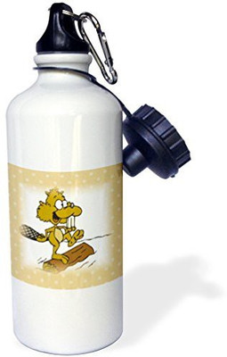 

3dRose 621 ml Water Purifier Bottle(White)