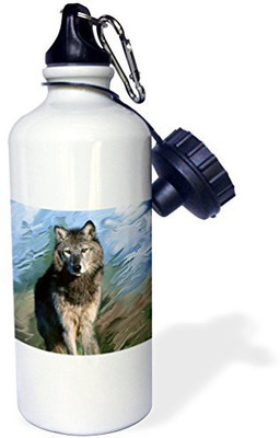 

3dRose 621 ml Water Purifier Bottle(White)