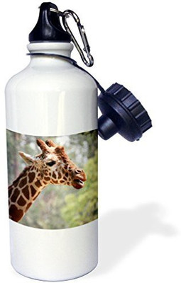 

3dRose 621 ml Water Purifier Bottle(White)