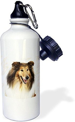 

3dRose 621 ml Water Purifier Bottle(White)