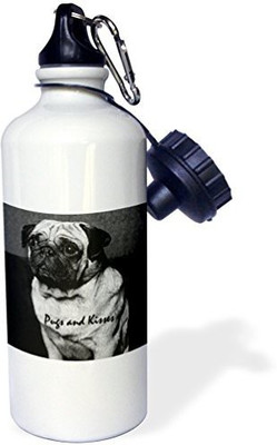 

3dRose 621 ml Water Purifier Bottle(White)